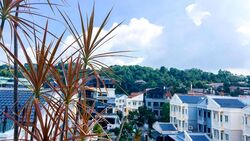 Banyan Park (D5), Terrace #601384531